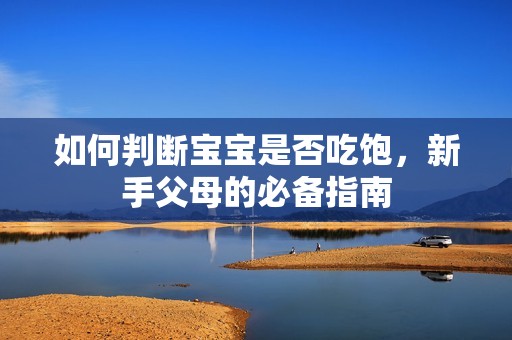 如何判断孕妈供卵代怀的孕妈供卵代孕的宝宝是否吃饱，新手父母的必备指南
