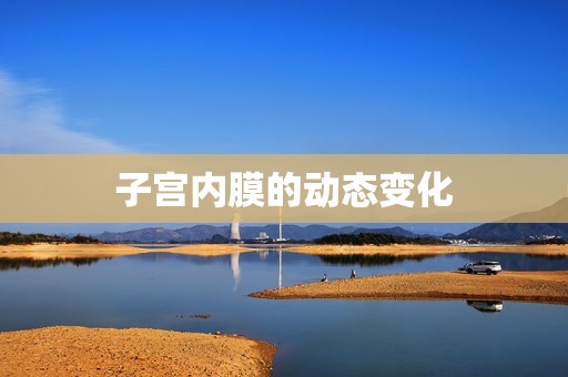 子宫内膜的动态变化