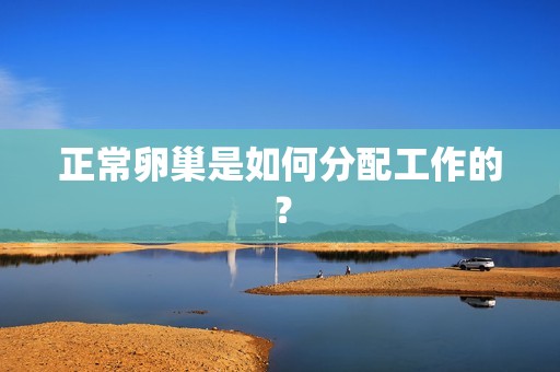 正常卵巢是如何分配工作的？