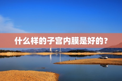 什么样的子宫内膜是好的？