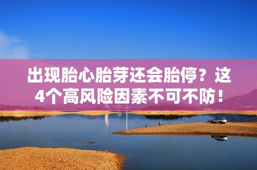 出现胎心胎芽还会胎停？这4个高风险因素不可不防！