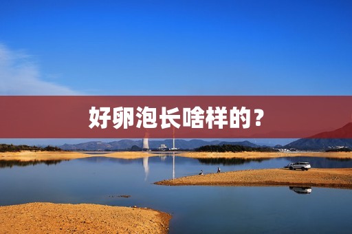 好卵泡长啥样的？