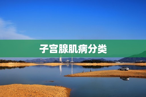 子宫腺肌病分类
