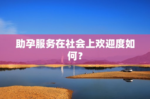 助孕服务在社会上欢迎度如何？