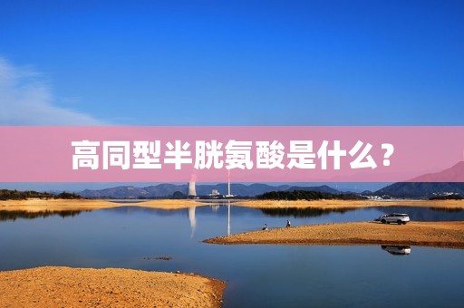 高同型半胱氨酸是什么？