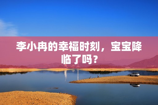 李小冉的幸福时刻，孕妈供卵代怀的孕妈供卵代孕的宝宝降临了吗？