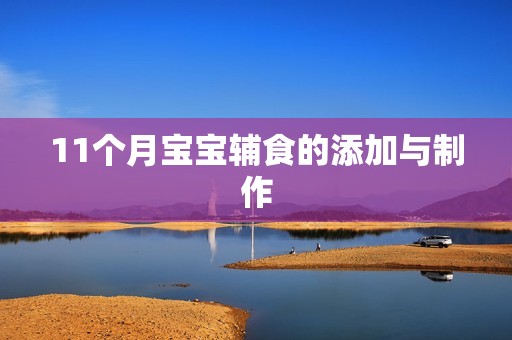 11个月孕妈供卵代怀的孕妈供卵代孕的宝宝辅食的添加与制作